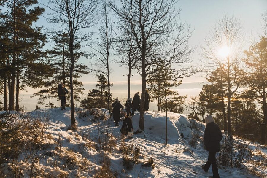 Oslo: Best View of the Oslofjord Winter Edition - The Snow Trail Walk: Spikes, Poles, and a Pace That Feels Doable