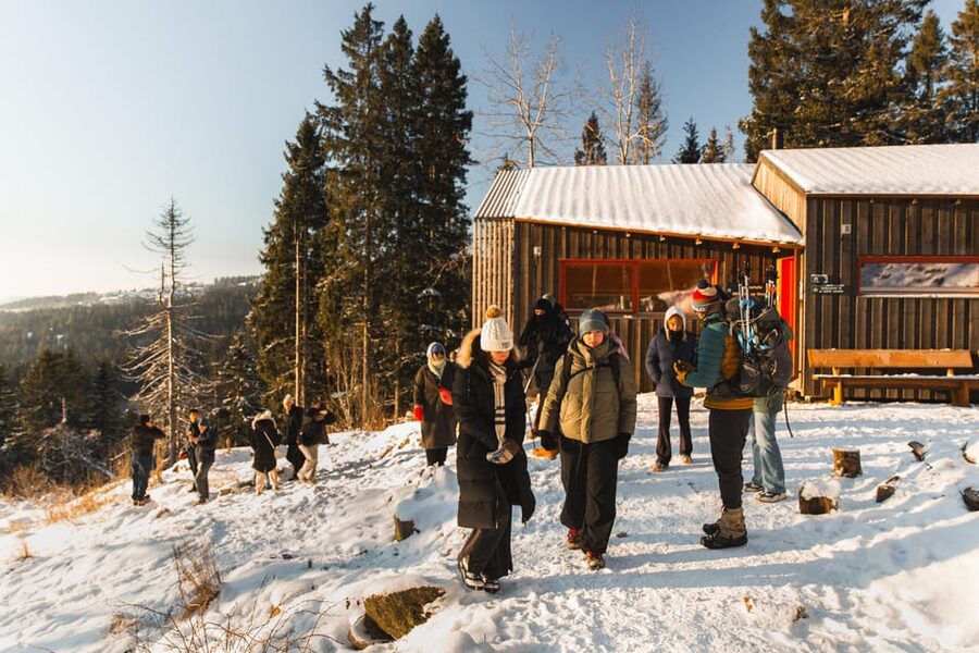 Oslo: Best View of the Oslofjord Winter Edition - The Huldra Ponds Legend Makes the Forest Feel Like a Story