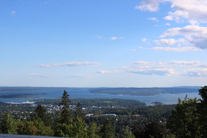 Oslo City Highlights with Fjord Cruise - The Electric Oslofjord Cruise: Silent, App-Guided, and Still Scenic
