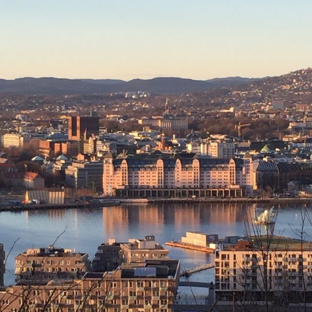 Oslo: City Walking Tour - Photo stops that teach you architecture, from the National Theatre to the University