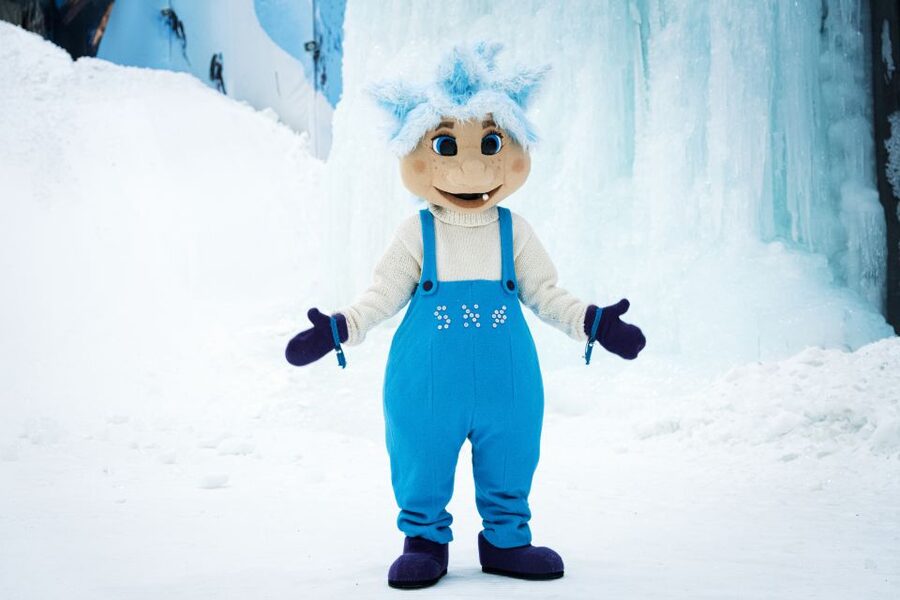 Oslo: Day Pass for Downhill Skiing at SNØ Ski Dome - Ski Park and the Switch to Snowboarding and Freeskiing