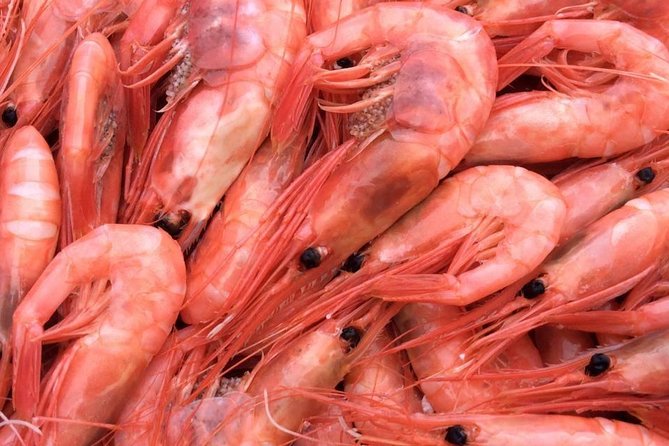 Oslo Fjord Evening Cruise with Shrimp Buffet on a Sailing Ship - Who should book this cruise, and who should skip it