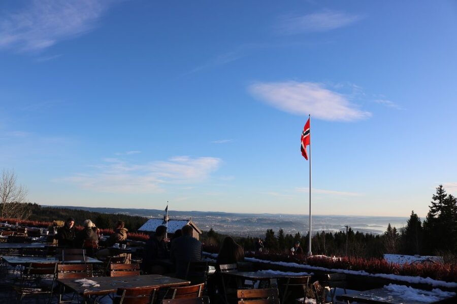 Oslo: Guided Oslo Highlights Tour by bus & Oslofjord cruise - Who this tour fits best, and who should think twice