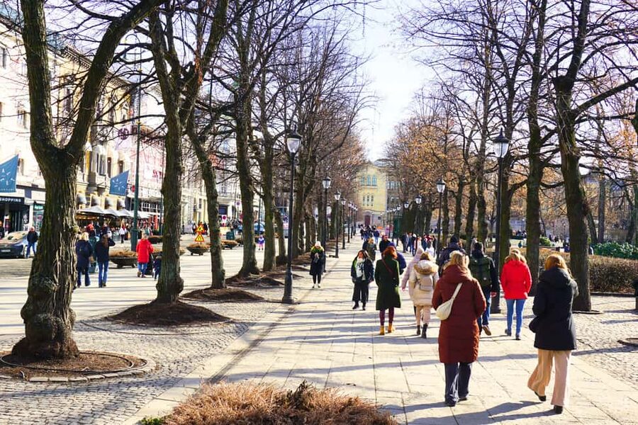 Oslo: History, Art and Secrets Tour - Making the most of 3 to 4 hours without feeling rushed