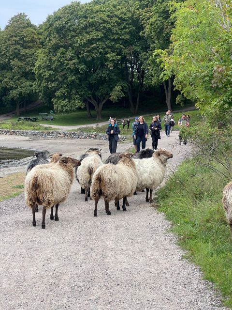 Oslo Island Walks: Island Hopping Tour - Key points I’d plan around