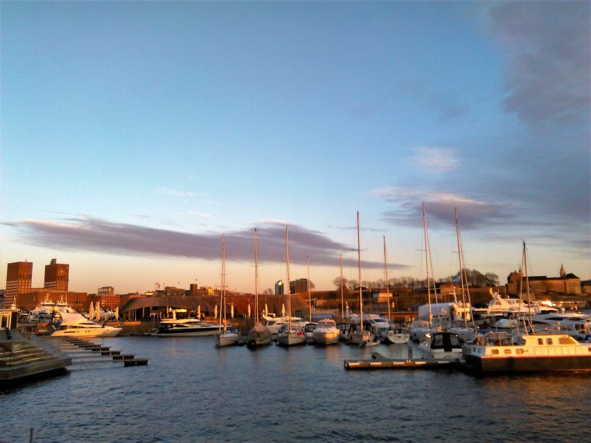Oslo Nature Walks: Island Hopping Tour - Meeting at Rådhusbrygge 4 and Getting on the Right Ferry