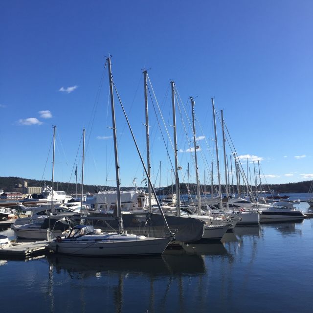 Oslo: Norwegian Explorers and Culture 3 Museum Tour - Price and value: is $414 per person worth it?