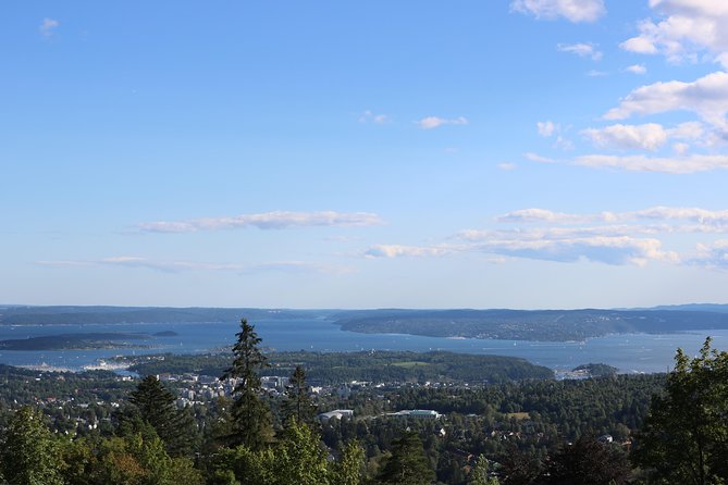 Oslo Panorama Tour with Holmenkollen Ski Jump and Vigeland Park - Starting at Haakon VIIs gate, then seeing Oslo in big chunks