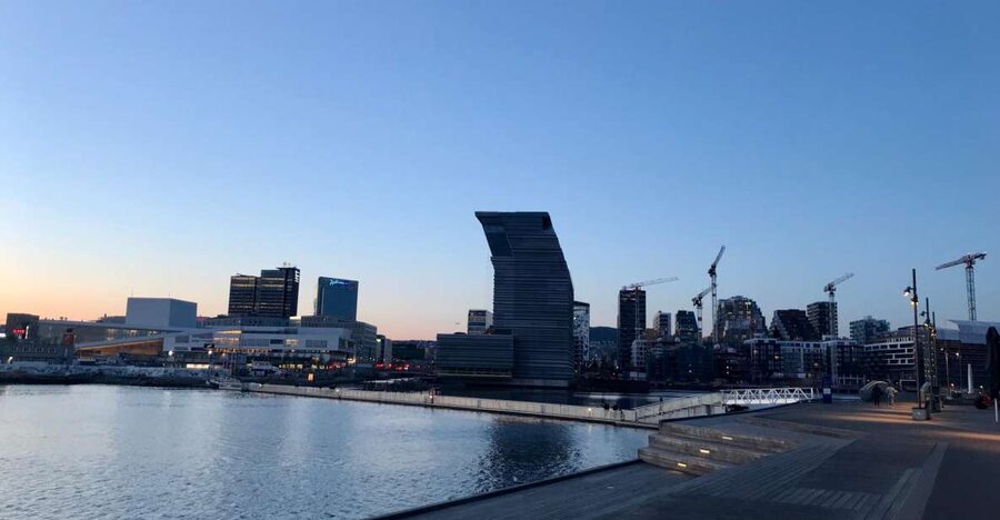 Oslo: Panoramic View and Sculpture Park Walk - Choosing your guide focus: how to make it personal without slowing down