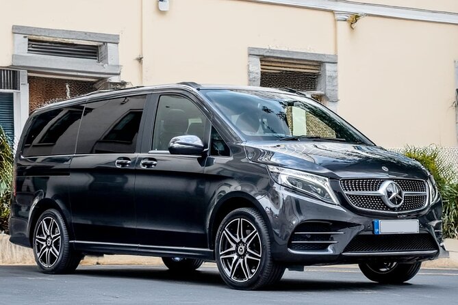 Oslo Private Transfer Between Gardermoen Airport and City - When delays, traffic, or early flights happen