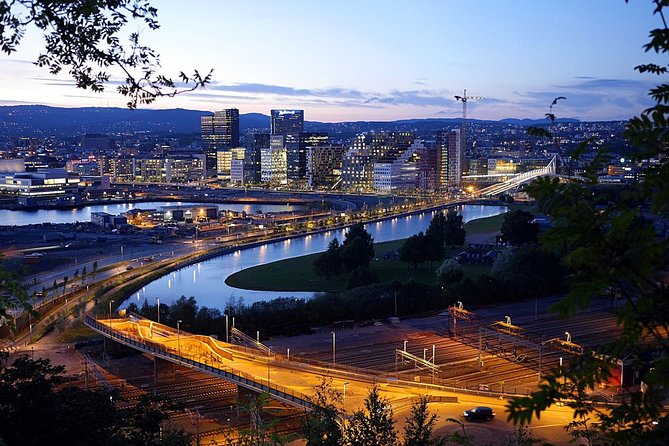 Oslo: Private VIP City Tour by Luxury Minivan with Driver & Guide - The Driver and Guide Team: Why This Private Format Works