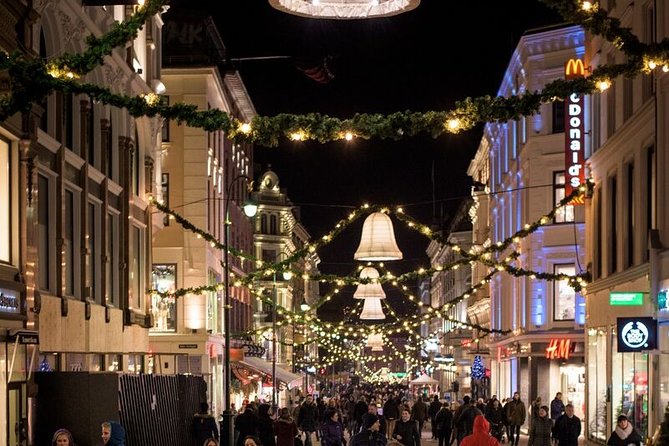 Oslo: Private VIP City Tour by Luxury Minivan with Driver & Guide - Should You Book This Oslo Private VIP City Tour?