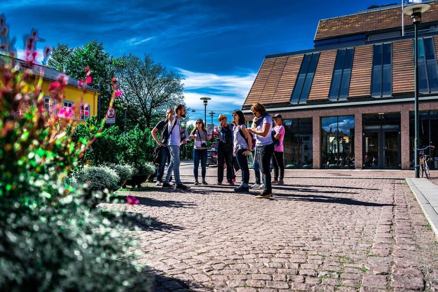 Oslo: Private Walking Tour - Royal Palace, Parliament, and the Civic Machinery of Oslo