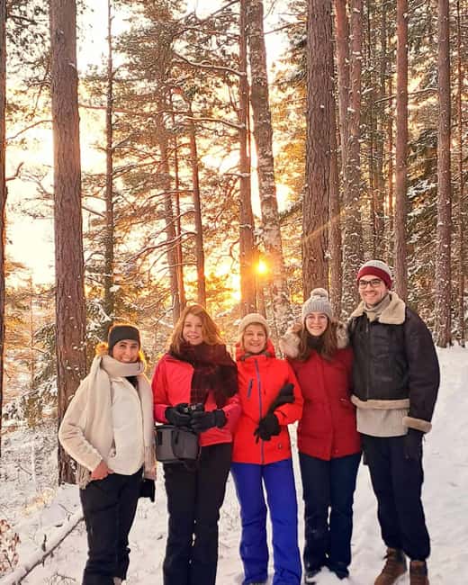 Oslo: Scenic Forest Hike with Dog & Local Guide - Why This Oslo Forest Hike Feels Different