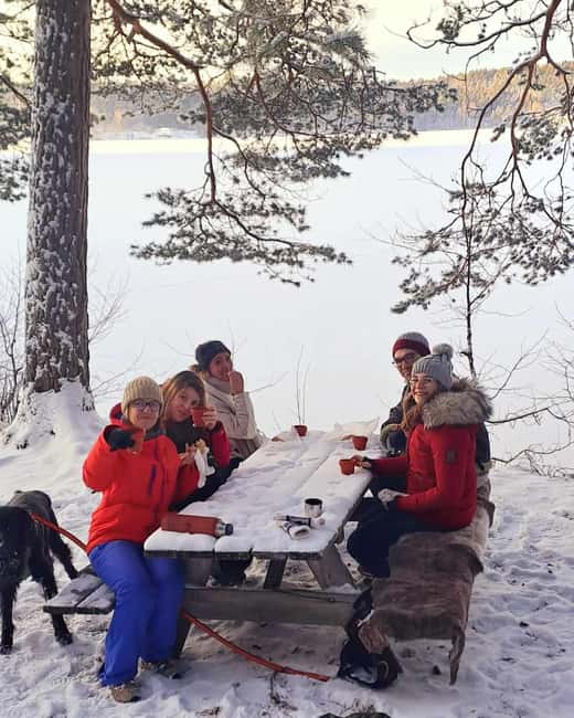 Oslo: Scenic Forest Hike with Dog & Local Guide - Key Highlights You Should Know Before You Go