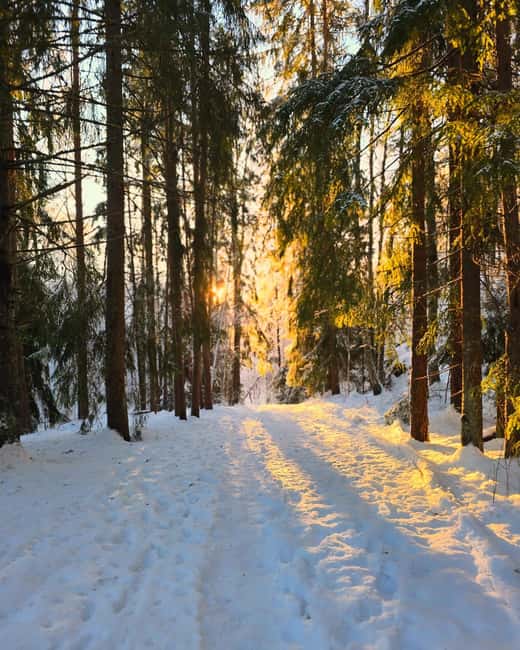 Oslo: Scenic Forest Hike with Dog & Local Guide - Dog Nero Makes the Hike Easier Than It Looks