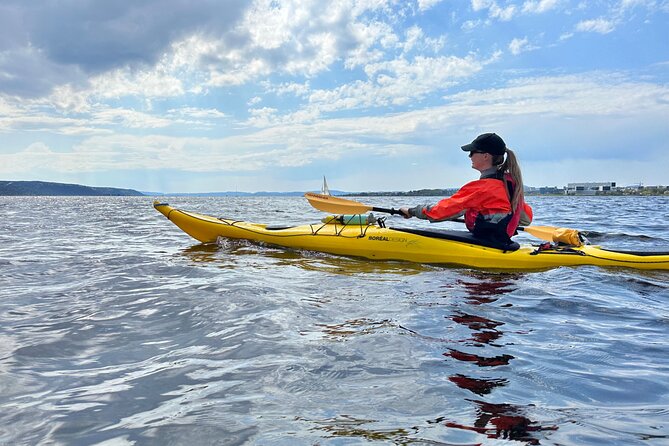 Oslo Sea Kayak Tour: Explore The Incredible Oslofjord - Ending on Oslofjord time near Hovedoya (and why islands feel special)