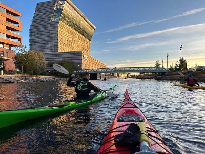 Oslo Sea Kayak Tour “Fjord City” - Should You Book Fjord City? My Practical Decision Guide