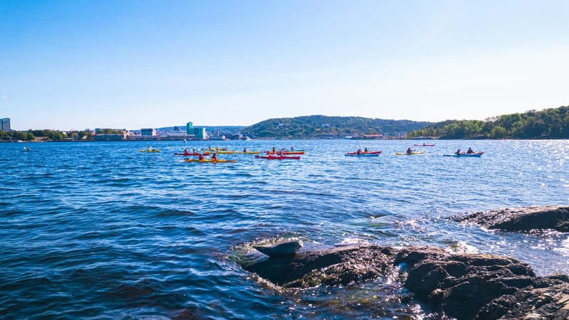 Oslo Sea Kayak Tour “Fjord City” - Meeting Mad Goats at Tjuvholmen and Getting Ready Without Stress