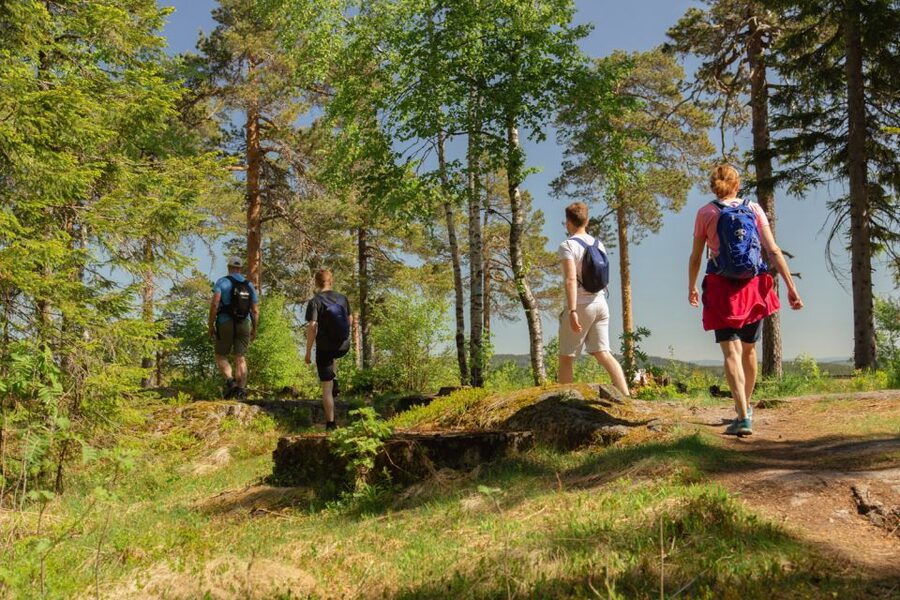 Oslo: Skjennungstoppen Wildlife Forest Hiking Tour - Who this hike suits best
