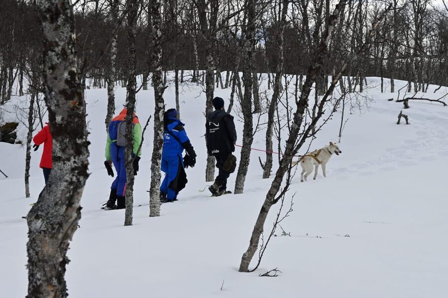 Oslo: Snowshoeing in the Forest with Norwegian BBQ - Key things that make this tour worth your time