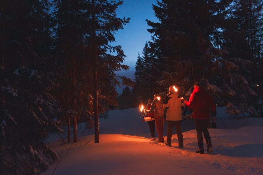 Oslo: Snowy Forest Torchlight Walk with Campfire - From Oslo Central to Frognerseteren: the metro start that sets the mood