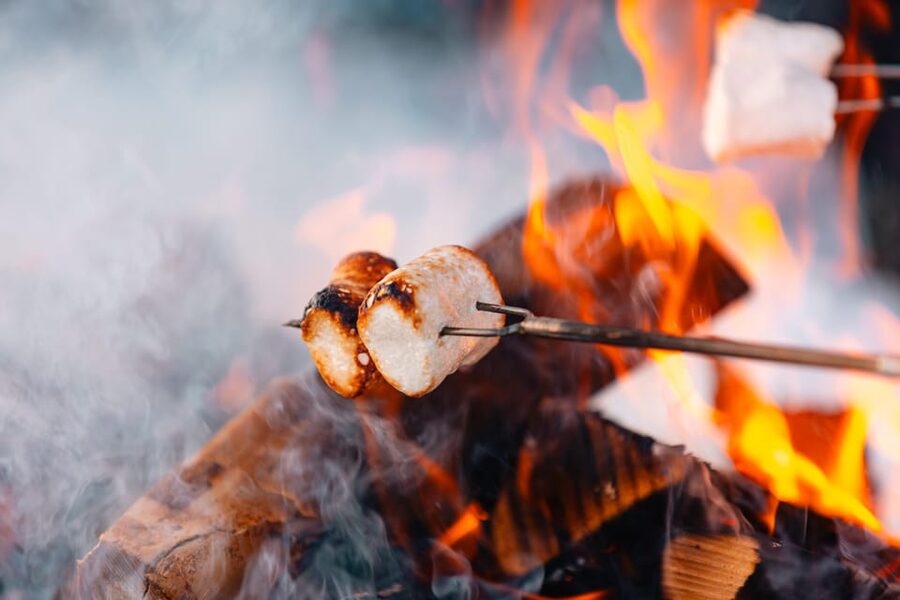 Oslo: Snowy Forest Torchlight Walk with Campfire - Packing tips so you do not freeze (and how to handle wind)