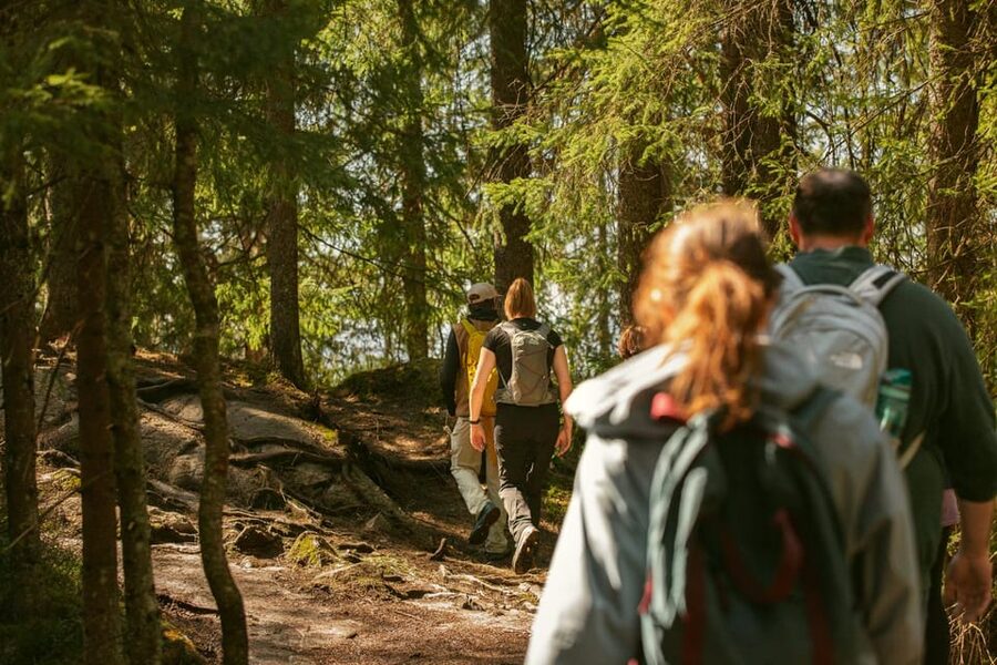 Oslo: The Spectacular Holmenkollen Walk - Frognerseteren: where the hike turns scenic, not just sporty