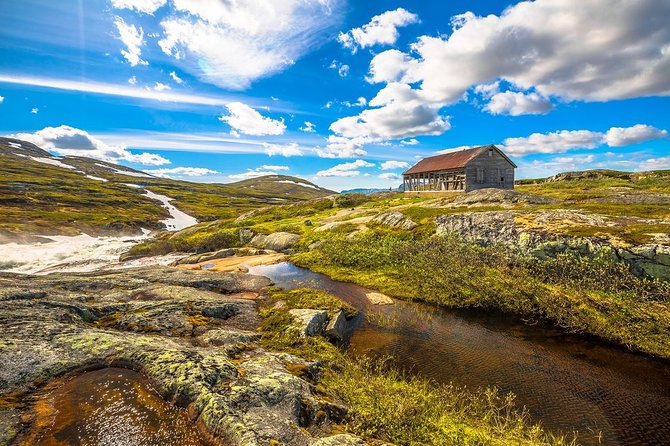Oslo To Sognefjord Private Full Day Roundtrip Including Flam Railway - Myrdal switch and the Bergen Railway connection toward Geilo