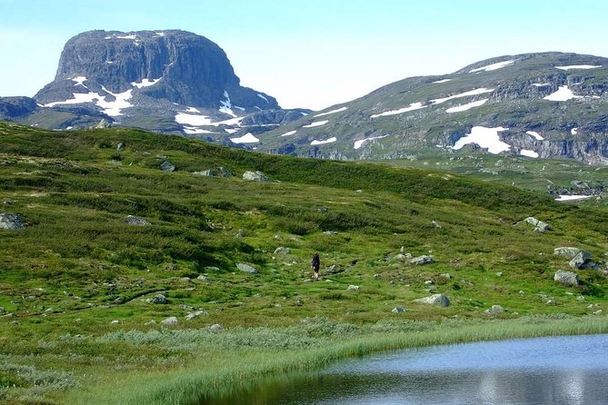 Oslo To Sognefjord Private Full Day Roundtrip Including Flam Railway - Price and value check: what you pay for and what you still need
