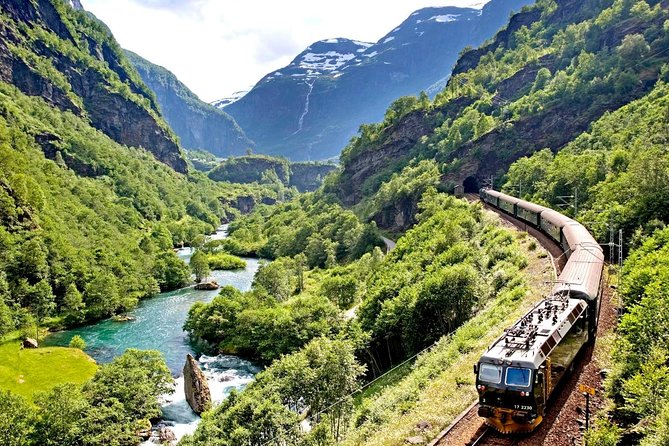 Oslo To Sognefjord Private Full Day Roundtrip Including Flam Railway - Morning pickup in Oslo, plus scenic refuel stops