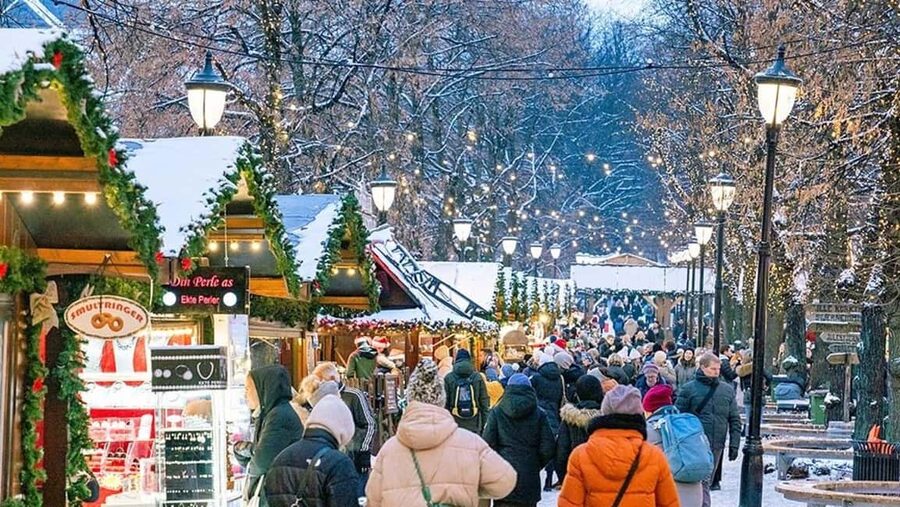 Oslo: Tour with a Michelin star chef - The 3-hour itinerary, from Royal Palace to National Theater