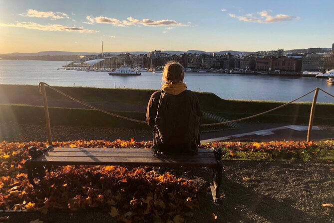 Oslo Unveiled: Private Walking Tour - Starting at Ostbanehallen and the Tiger City hook
