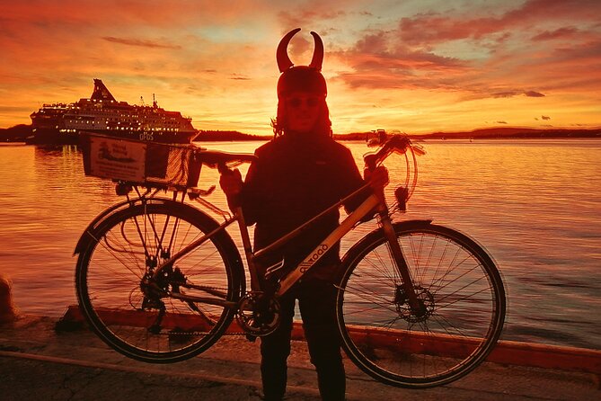 Oslo Winter Highlights Bike Tour - Small Group Size Means More Than Comfort