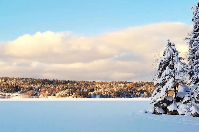 Oslo: Winter wonderland forest hike & campfire with a dog - What Makes This Oslo Winter Hike Special?