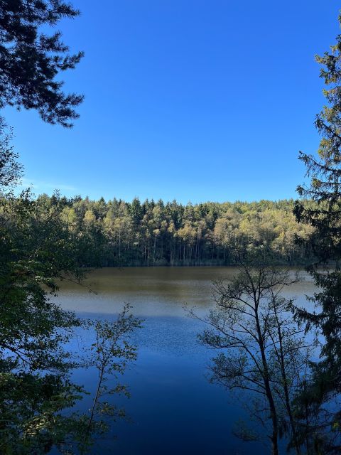 Oslo: Yoga & Hiking with a dog - Key Things to Know Before You Go