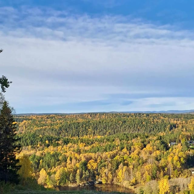 Oslo: Yoga & Hiking with a dog - Getting to Kolbotn: The Quiet Oslo Escape You Can Actually Do