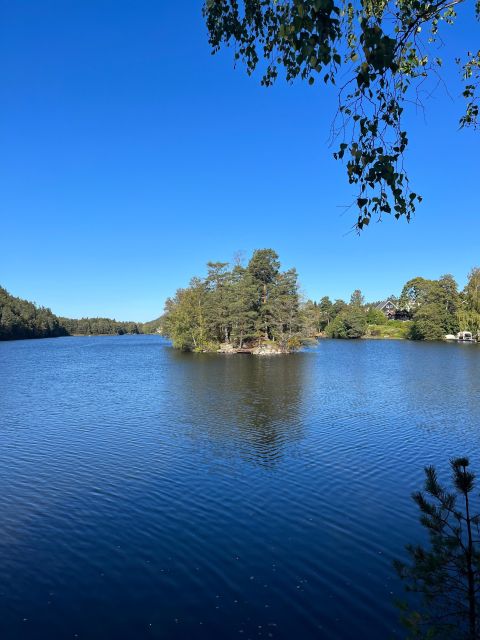 Oslo: Yoga & Hiking with a dog - Practical Tips: What to Wear, Bring, and Expect on Trails