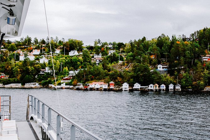 Oslofjord Sightseeing - How smooth and safe it feels, even on snowy or windy days