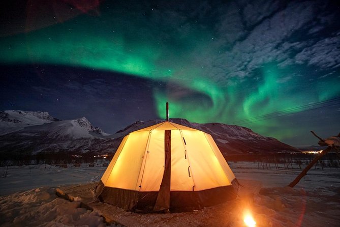 Overnight Stay with Reindeer Sledding & Feeding - Key things to notice before you go