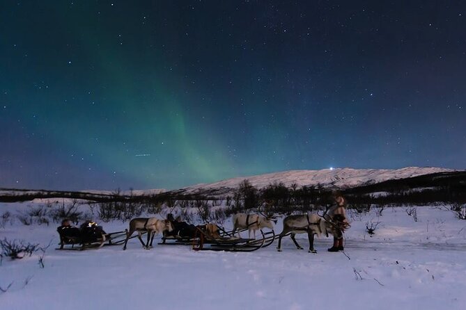 Overnight Stay with Reindeer Sledding & Feeding - Tromso Lapland: why this feels different from a day trip