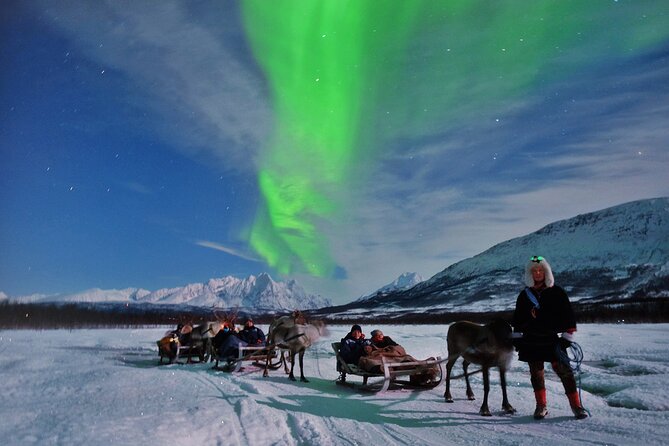 Overnight Stay with Reindeer Sledding & Feeding - Northern Lights viewing: better odds, not a guarantee