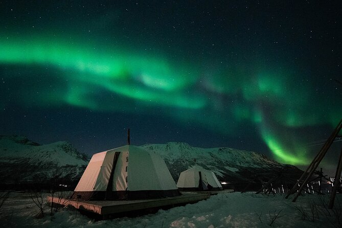 Overnight Stay with Reindeer Sledding & Feeding - Meeting in Tromso at 6:00 pm, then out to Kvaløya