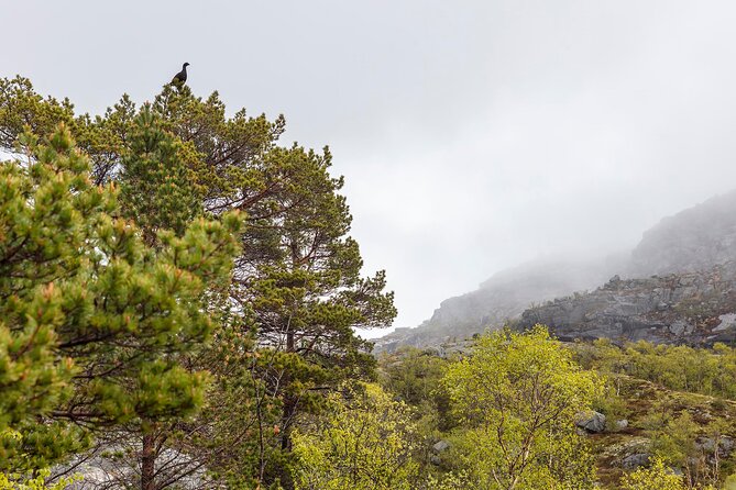 Preikestolen Hidden Trail Hike + Lunch and Canoe Trip - Weather changes plans, but it doesn’t stop the day’s value