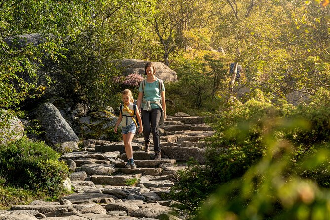 Preikestolen | Pulpit Rock - Hike with a local guide - Small-group guiding: pacing, rest breaks, and photo help