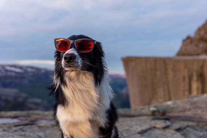 Preikestolen Sunrise Hike And Breakfast Buffet - Price and Value: Is About $129 Worth It?