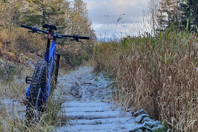 Premium eBike rental - Keiservarden: steep climbs, technical trail bits, and the big payoff