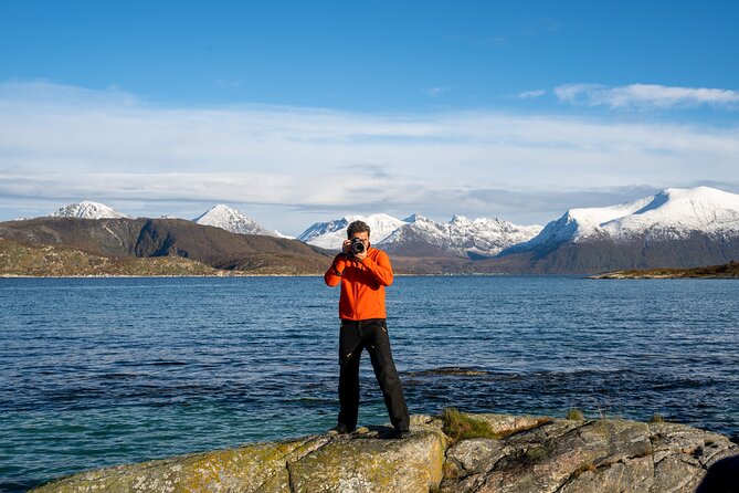 Private Arctic Fjord Roadtrip with Scenic Picnic from Tromso - Price and what the private format is really buying you