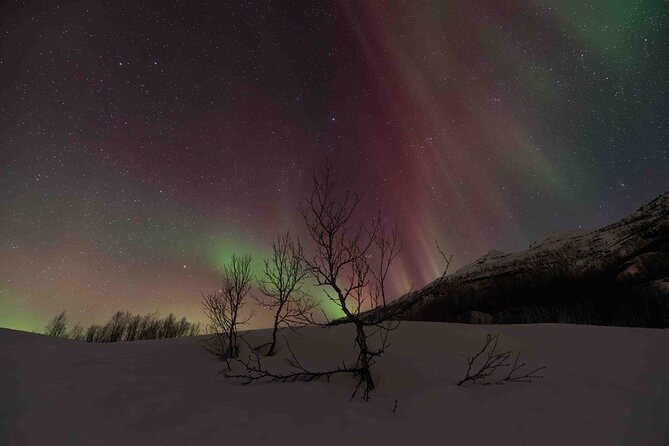 Private Aurora Hunting with Professional Photographer from Alta - Key highlights you should know before you go