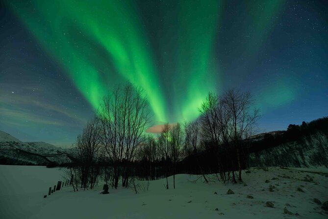 Private Aurora Hunting with Professional Photographer from Alta - What the cold kit actually covers, and what you still need